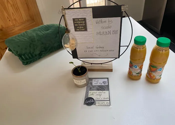 Studio Dream On Met Zonnige Terras Ostende